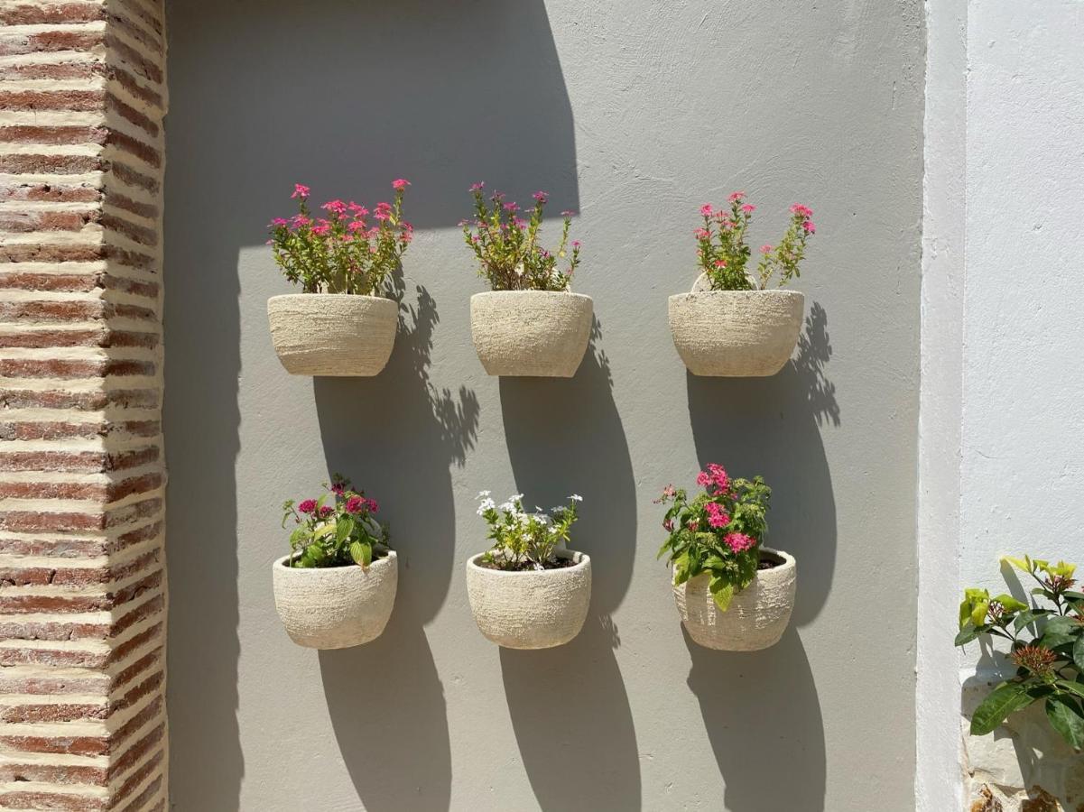 Casa Bixa Hotel Boutique - Mayores De 12 Anos - (Adults Only) سانتا في دي أنتيوكيا المظهر الخارجي الصورة