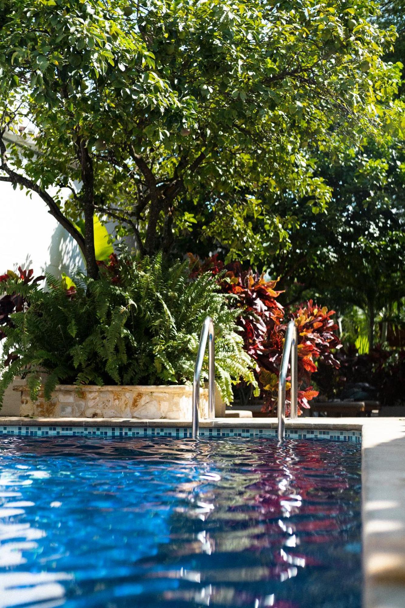 Casa Bixa Hotel Boutique - Mayores De 12 Anos - (Adults Only) سانتا في دي أنتيوكيا المظهر الخارجي الصورة